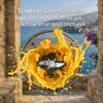 Appareil portable pour smoothies
