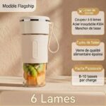 mixeur smoothie portable